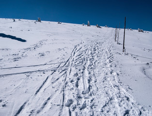 hiking trail with snow, isolated small shrubs and clear sky in winter Jeseniky mountains