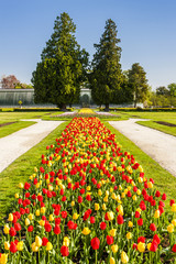 Plakat garden of Lednice Palace, Czech Republic