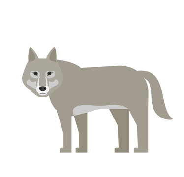 cartoon wolf in flat style on white background
