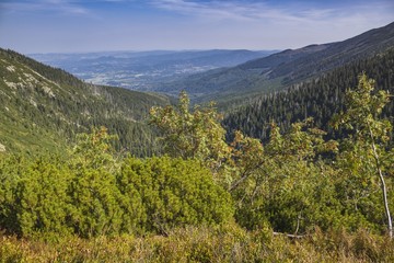 Mountain trail in Karkonosze