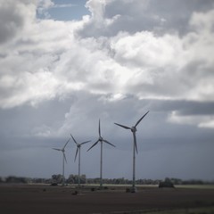 Windräder in ländlicher Region