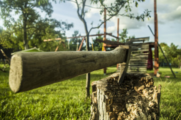 An old axe stuck in decayed trunk.