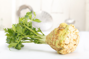 Fresh celery root (Apium graveolens var. rapaceum) in a kitchen