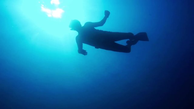 Free diver into the blue