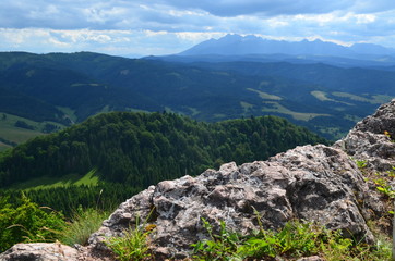 Fototapeta premium pieniny