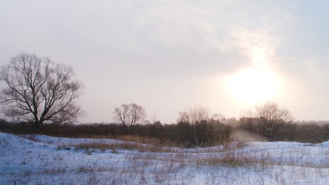 Woods and fields in winter. Snowfall at sunset.Dolly shot