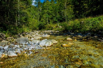 Sonniger Gebirgsbach mit klarem Wasser in Österreich