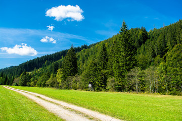 Fototapeta na wymiar Einsame Schotterstraße durch bewaldetes Tal in Österreich
