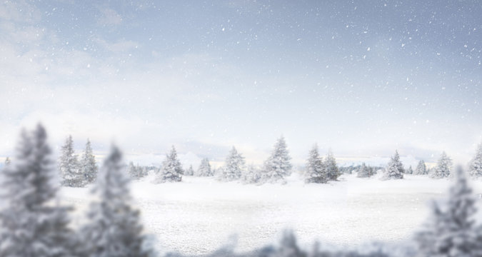 Fototapeta snow and winter landscape panorama