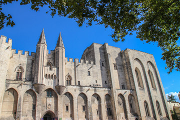 Fototapeta premium palais des papes Avignon