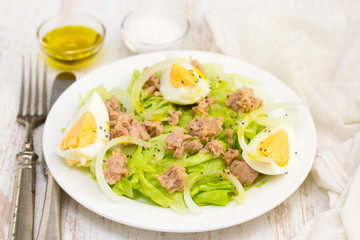 frsh salad with tuna and boiled egg on white plate