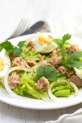 frsh salad with tuna and boiled egg on white plate