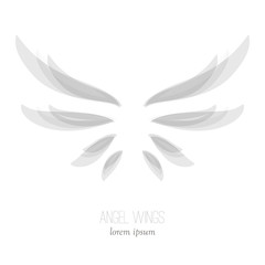 Elegant angel wings