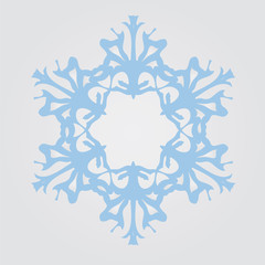 The image of snowflakes on a gray background.