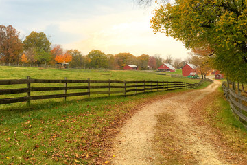 Farm in Autumn - Powered by Adobe