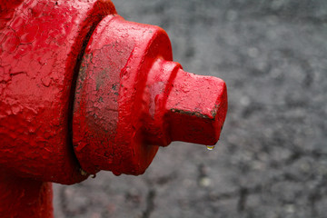 fire hydrant