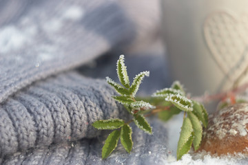 scarf, a cup of tea and cakes on a winter background
