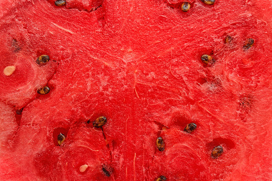slice of watermelon closeup