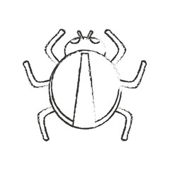 Bug icon. Insect pest bed infestation and parasite theme. Isolated design. Vector illustration