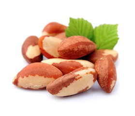 Fototapeta premium Bertholletia.Brazil nuts