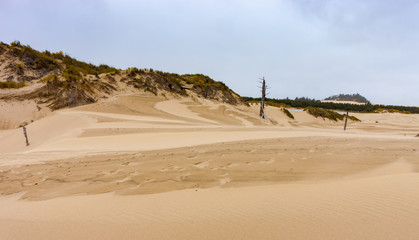 Sand Dunes 1