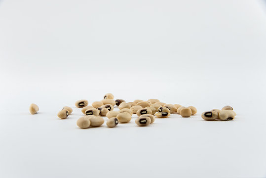 isolate white beans on object