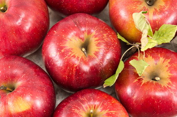 Freshly picked red apples on a plate