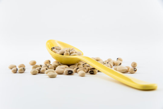 isolate white beans on object
