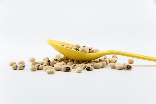 isolate white beans on object