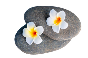 stones for spa treatments and exotic flowers close up on white b
