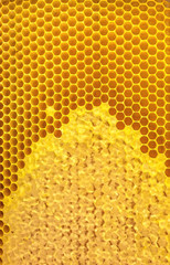  Honeycomb close-up.