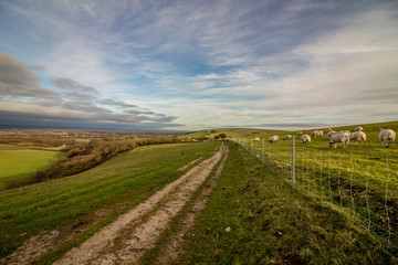 Footpath on Wolstonbury Hill, South Downs, Sussex, England taken on an autumn late afternoon,