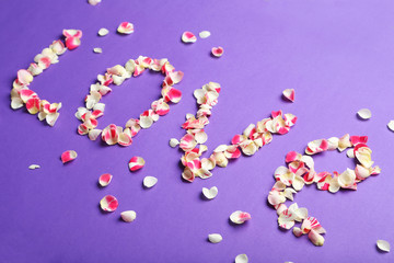 Rose petals on a purple background