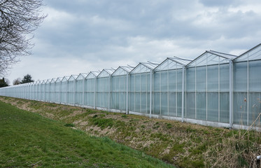 On the outside of the greenhouses