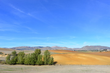 Fototapeta premium Spanien Anadalusien Ackerland