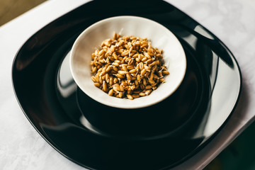 sprouted grains of wheat  on white plate. healthy food concept