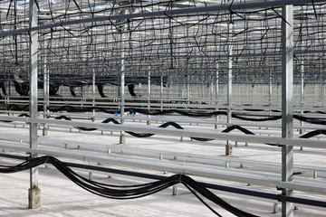 Empty greenhouse with a drip irrigation system in the nursery of  plants.
