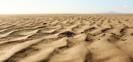sand dunes in a desert