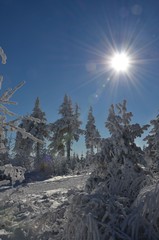 Tief verschneite Winterlandschaft mit Wintersonne - Gegenlicht