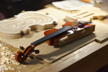 Close view of a violin strings and bridge