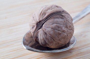 Macro view on single walnut and old spoon closeup