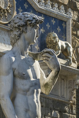 Michaelangelo's David in Florence, Italy