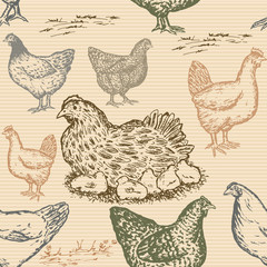 Hand drawn chicken farm seamless pattern in vintage style