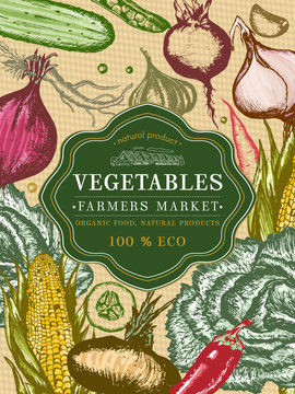 Vegetable vintage poster. Fresh vegetables template