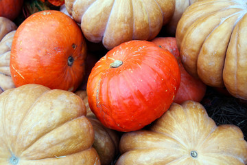 Pumpkins as a decoration for the october autumn holidays.