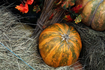 Pumpkin as a decoration for the october autumn holidays.