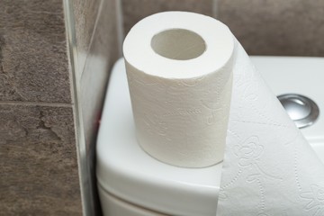 Roll of toilet paper stands on the reservoir in restroom