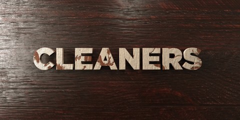 Fototapeta premium Cleaners - grungy wooden headline on Maple - 3D rendered royalty free stock image. This image can be used for an online website banner ad or a print postcard.