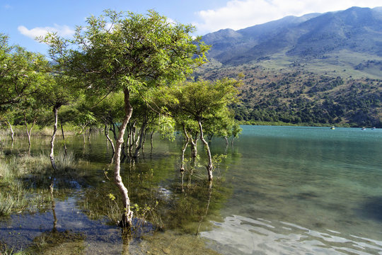 Curnas lake (Crete)