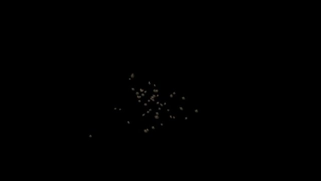Swarm of flies/moths &ndash; with alpha channel for easy compositing into your own scenes.